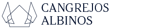 Cangrejos Albinos